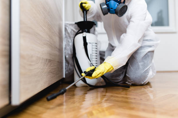 Best Exterminator Services  in Ishpeng, MI