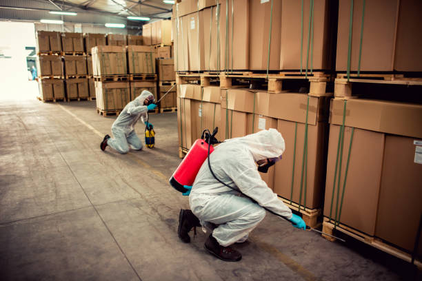 Trusted Ishpeming, MI Pest Control Experts