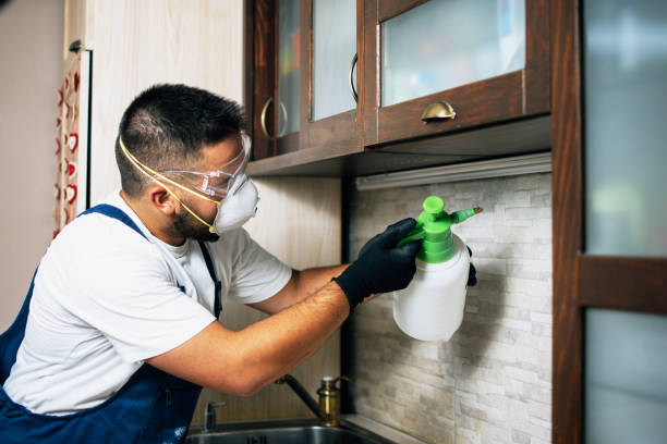 Best Emergency Pest Control  in Ishpeng, MI