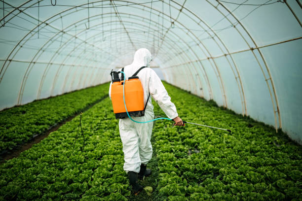 Best Pest Control Near Me  in Ishpeng, MI