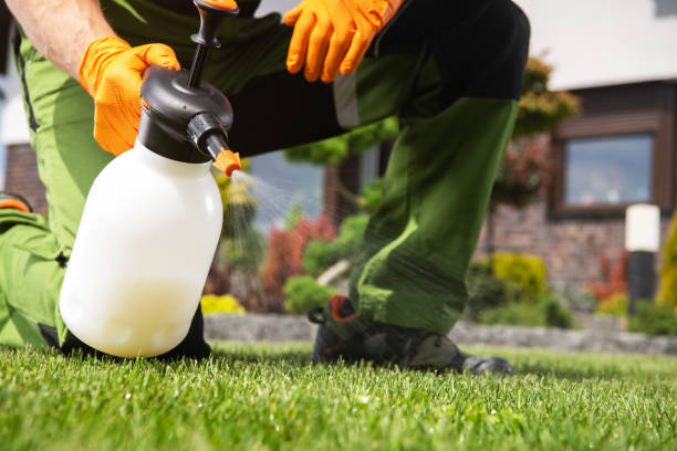 Best Mosquito Control Services  in Ishpeng, MI