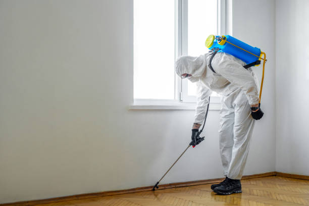 Best Pest Control Near Me  in Ishpeng, MI