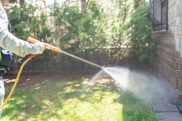 Best Pest Prevention Services  in Ishpeng, MI