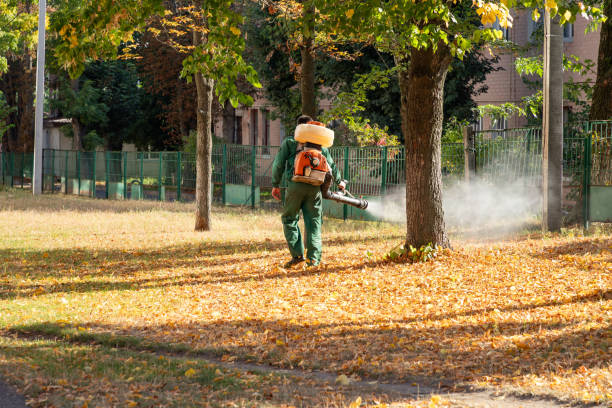 Best Cockroach Control Services  in Ishpeng, MI