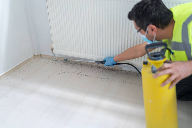 Best Affordable Pest Control Services  in Ishpeng, MI
