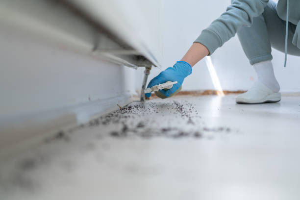 Best Wildlife Control Services  in Ishpeng, MI